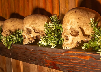 Bone Haus Brewing Arizona | Fountain Hills AZ Brewery